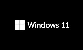 Windows 11 logo